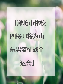潍坊市体校四将即将为山东男篮征战全运会