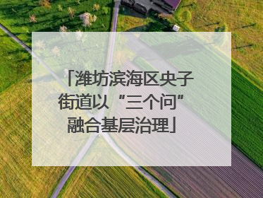 潍坊滨海区央子街道以“三个问”融合基层治理