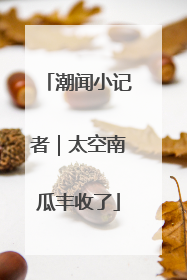 潮闻小记者｜太空南瓜丰收了