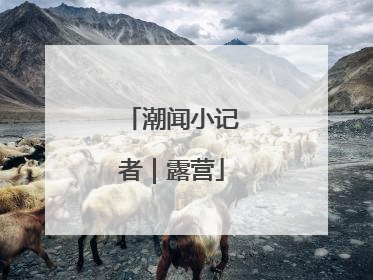 潮闻小记者｜露营