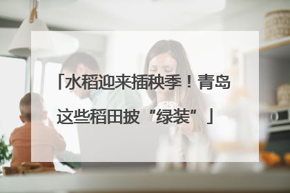水稻迎来插秧季！青岛这些稻田披“绿装”