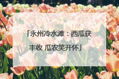 永州冷水滩：西瓜获丰收 瓜农笑开怀
