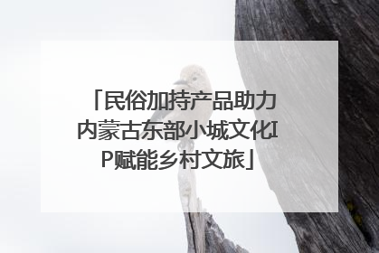 民俗加持产品助力 内蒙古东部小城文化IP赋能乡村文旅