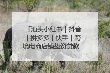 汕头小红书｜抖音｜拼多多｜快手｜跨境电商店铺垫资贷款企业-漫商易