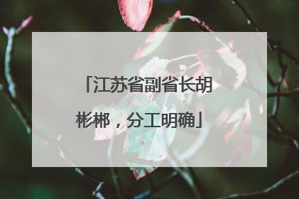 江苏省副省长胡彬郴，分工明确