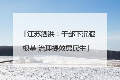 江苏泗洪：干部下沉强根基 治理提效惠民生