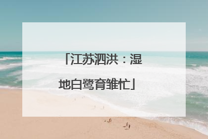 江苏泗洪：湿地白鹭育雏忙