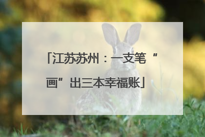江苏苏州：一支笔“画”出三本幸福账