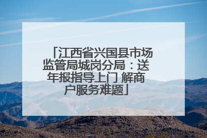 江西省兴国县市场监管局城岗分局：送年报指导上门 解商户服务难题