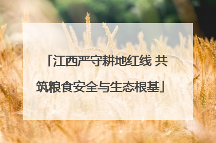 江西严守耕地红线 共筑粮食安全与生态根基