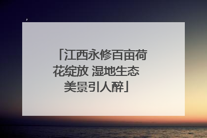 江西永修百亩荷花绽放 湿地生态美景引人醉