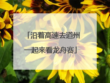 沿着高速去道州 一起来看龙舟赛