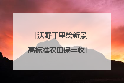 沃野千里绘新景 高标准农田保丰收