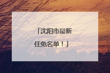 沈阳市最新任免名单！