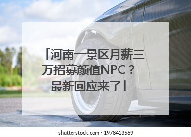 河南一景区月薪三万招募颜值NPC？最新回应来了