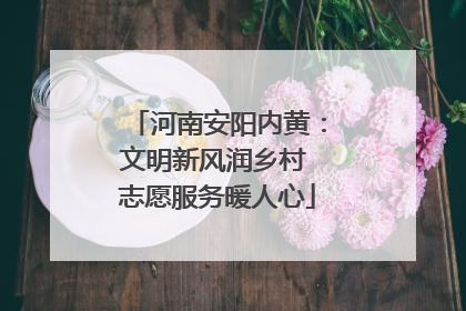 河南安阳内黄：文明新风润乡村 志愿服务暖人心