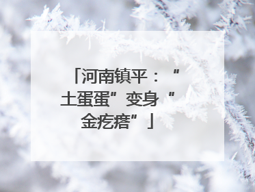 河南镇平：“土蛋蛋”变身“金疙瘩”