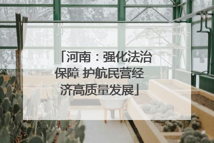 河南：强化法治保障 护航民营经济高质量发展