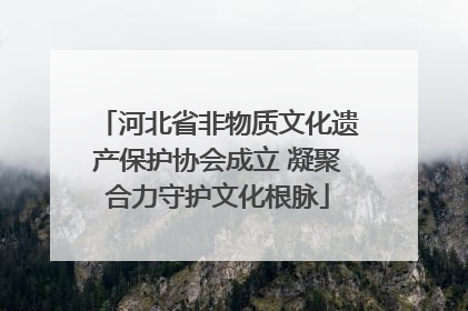 河北省非物质文化遗产保护协会成立 凝聚合力守护文化根脉