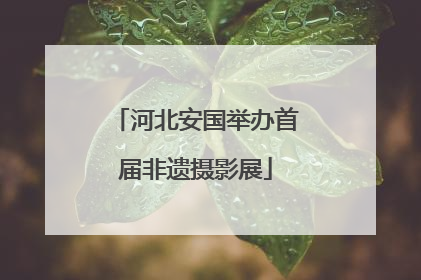 河北安国举办首届非遗摄影展