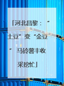 河北昌黎：“土豆”变“金豆” 马铃薯丰收采挖忙