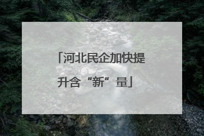 河北民企加快提升含“新”量