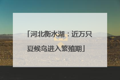 河北衡水湖：近万只夏候鸟进入繁殖期