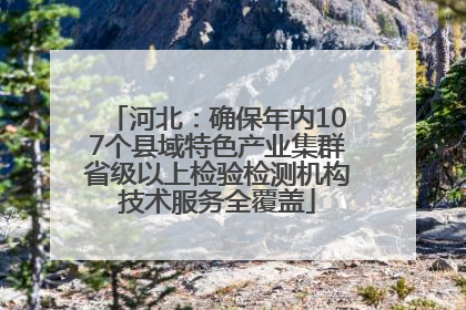 河北：确保年内107个县域特色产业集群省级以上检验检测机构技术服务全覆盖
