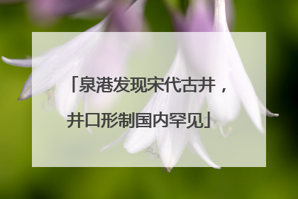 泉港发现宋代古井，井口形制国内罕见