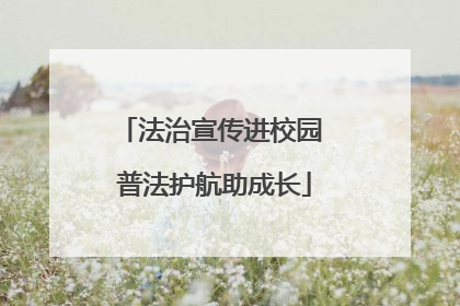 法治宣传进校园 普法护航助成长