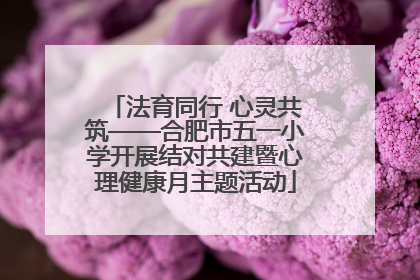 法育同行 心灵共筑——合肥市五一小学开展结对共建暨心理健康月主题活动