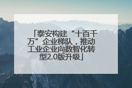 泰安构建“十百千万”企业梯队，推动工业企业向数智化转型2.0版升级
