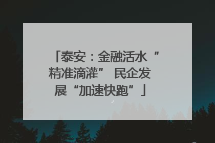 泰安：金融活水“精准滴灌” 民企发展“加速快跑”