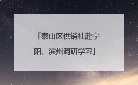 泰山区供销社赴宁阳、滨州调研学习
