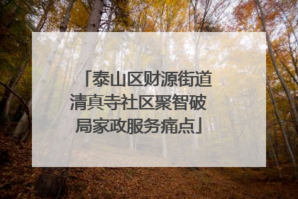 泰山区财源街道清真寺社区聚智破局家政服务痛点