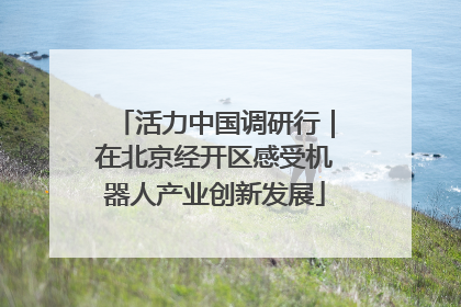 活力中国调研行｜在北京经开区感受机器人产业创新发展