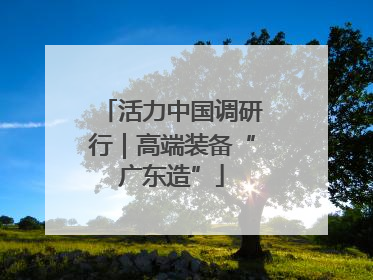 活力中国调研行｜高端装备“广东造”