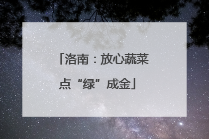 洛南：放心蔬菜点“绿”成金