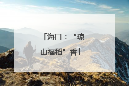 海口：“琼山福稻”香