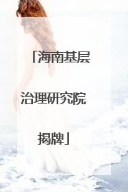 海南基层治理研究院揭牌