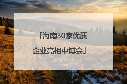 海南30家优质企业亮相中博会