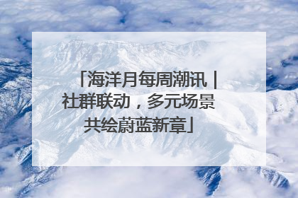 海洋月每周潮讯｜社群联动，多元场景共绘蔚蓝新章