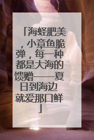 海蛏肥美，小章鱼脆弹，每一种都是大海的馈赠——夏日到海边 就爱那口鲜
