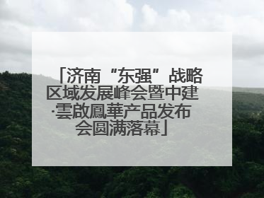 济南“东强”战略区域发展峰会暨中建·雲啟鳳華产品发布会圆满落幕