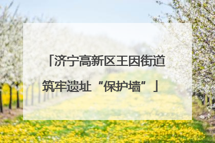 济宁高新区王因街道筑牢遗址“保护墙”