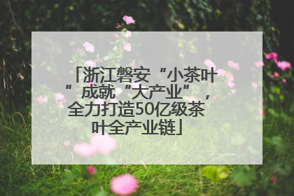 浙江磐安“小茶叶”成就“大产业”，全力打造50亿级茶叶全产业链