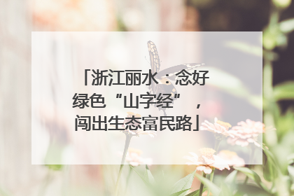浙江丽水：念好绿色“山字经”，闯出生态富民路