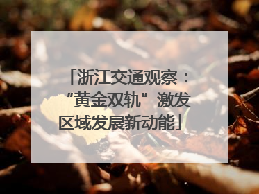浙江交通观察：“黄金双轨”激发区域发展新动能
