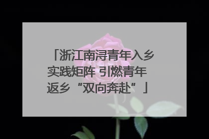 浙江南浔青年入乡实践矩阵 引燃青年返乡“双向奔赴”