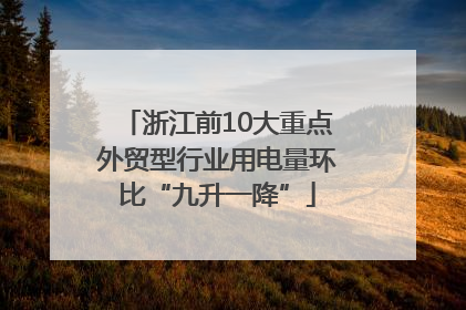 浙江前10大重点外贸型行业用电量环比“九升一降”